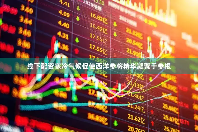 线下配资寒冷气候促使西洋参将精华凝聚于参根