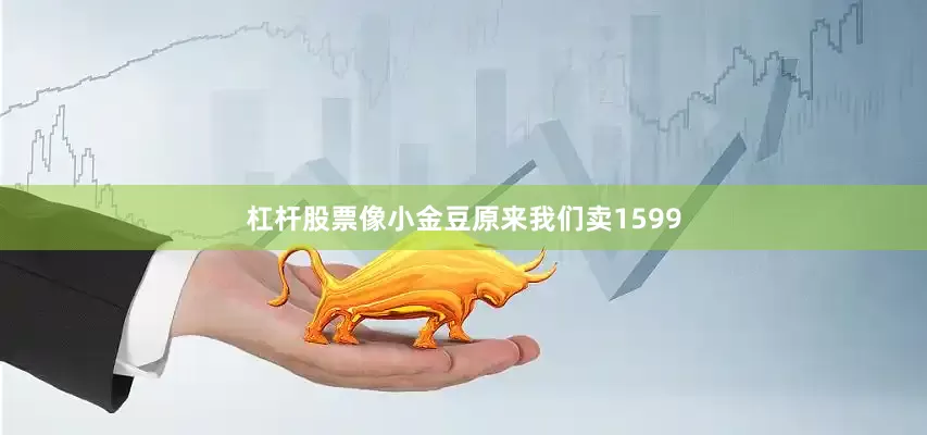 杠杆股票像小金豆原来我们卖1599