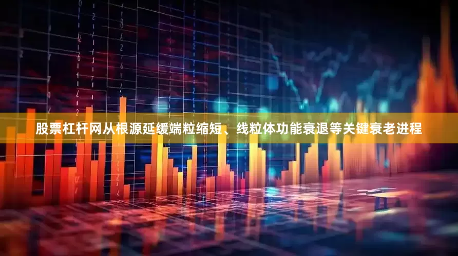 股票杠杆网从根源延缓端粒缩短、线粒体功能衰退等关键衰老进程